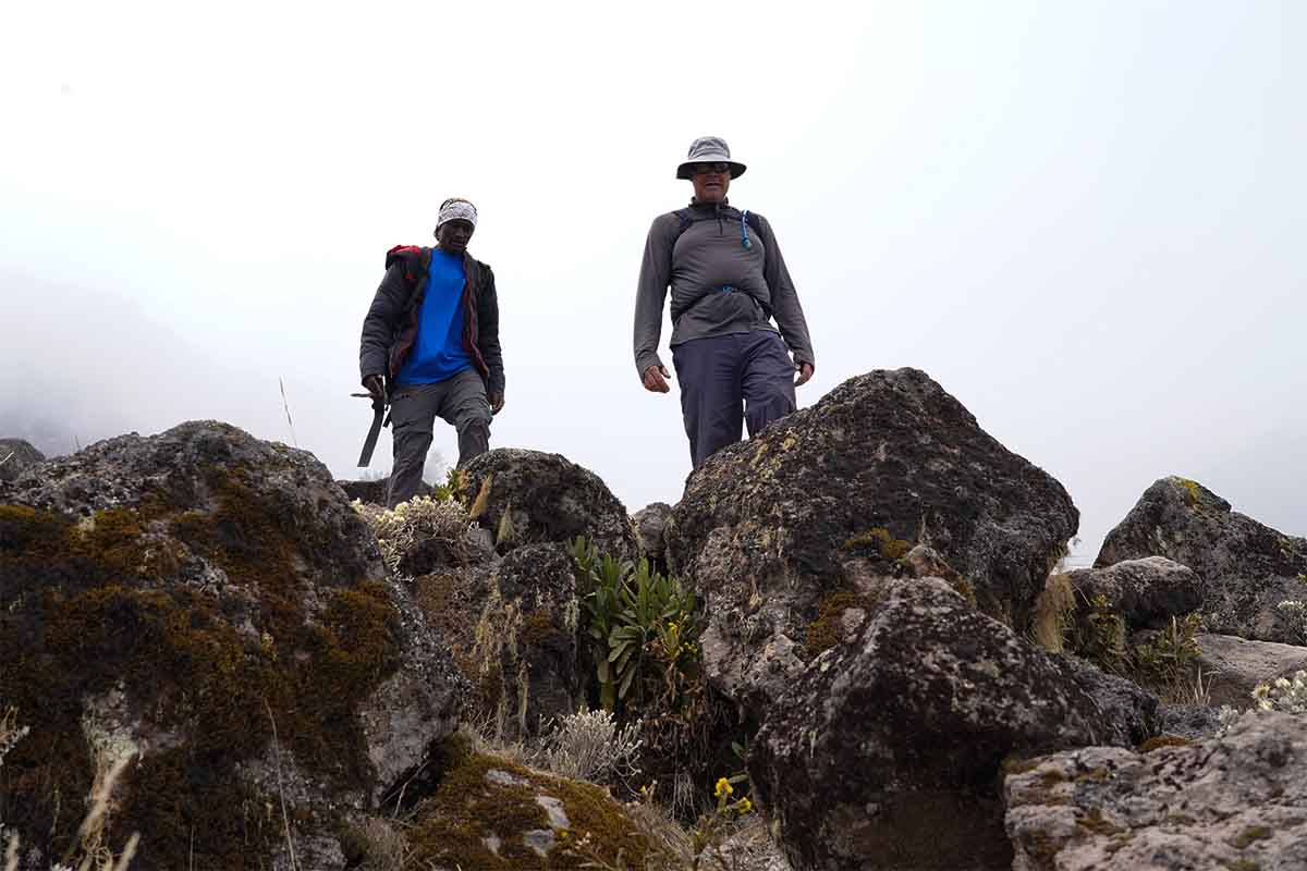 Lemosho route Kilimanjaro 